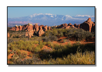 summer-winter-landscape